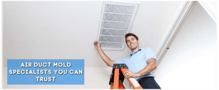 Air Duct Mold Removal in Moreno Valley CA