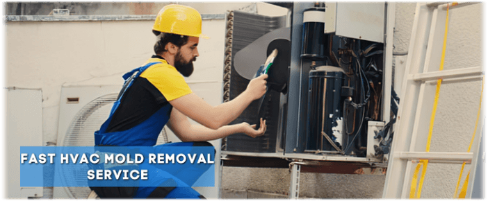 HVAC Mold Removal Moreno Valley CA